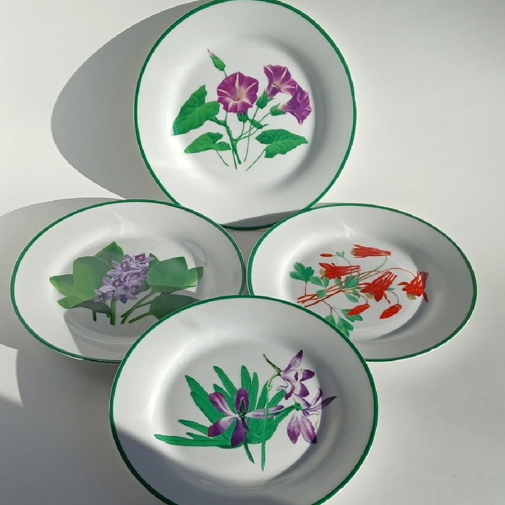 Vintage National Wildflowers Salad Plates by the National Wildlife Federation